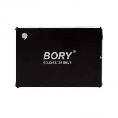 256 GB BORY SATA3 R500-C256G 550/510 MBS SSD Sabit Disk