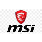 MSI